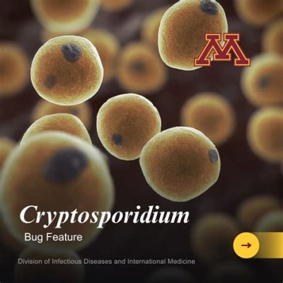  Cryptosporidium!  A Tiny Parasite with an Enormous Impact on Intestinal Health